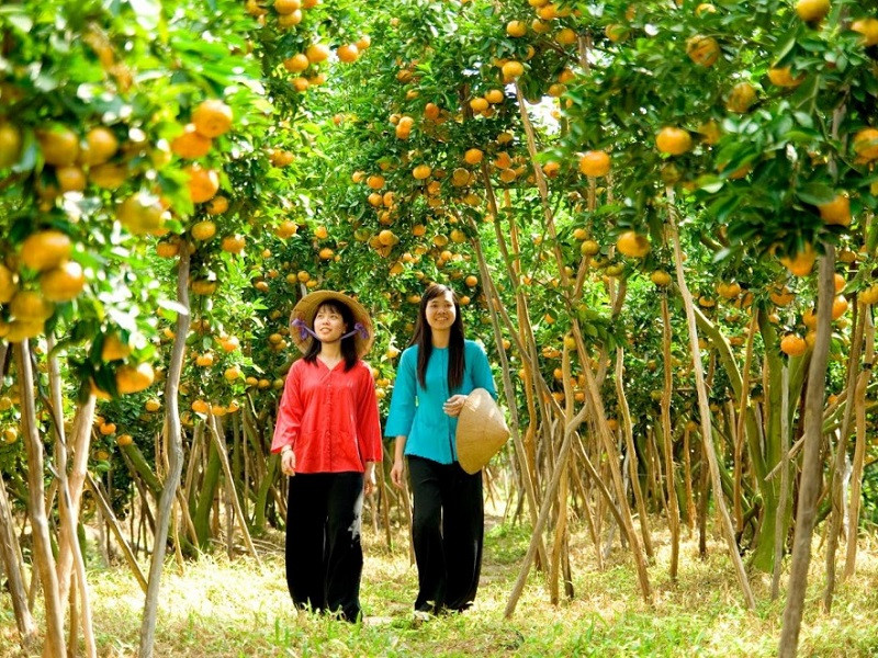 thuê xe ô tô du lịch