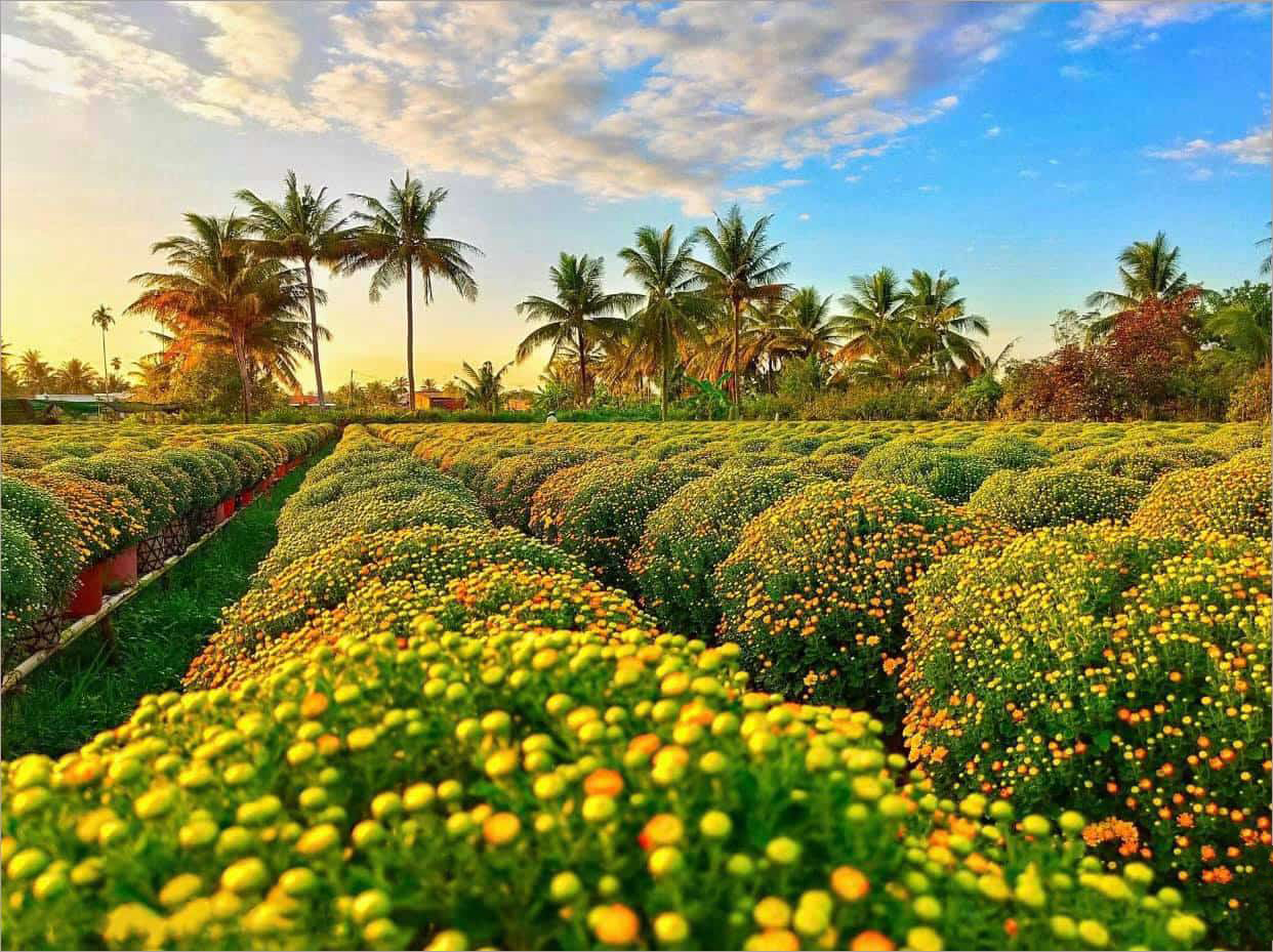 Du Lịch Nghỉ Dưỡng Ven Sông