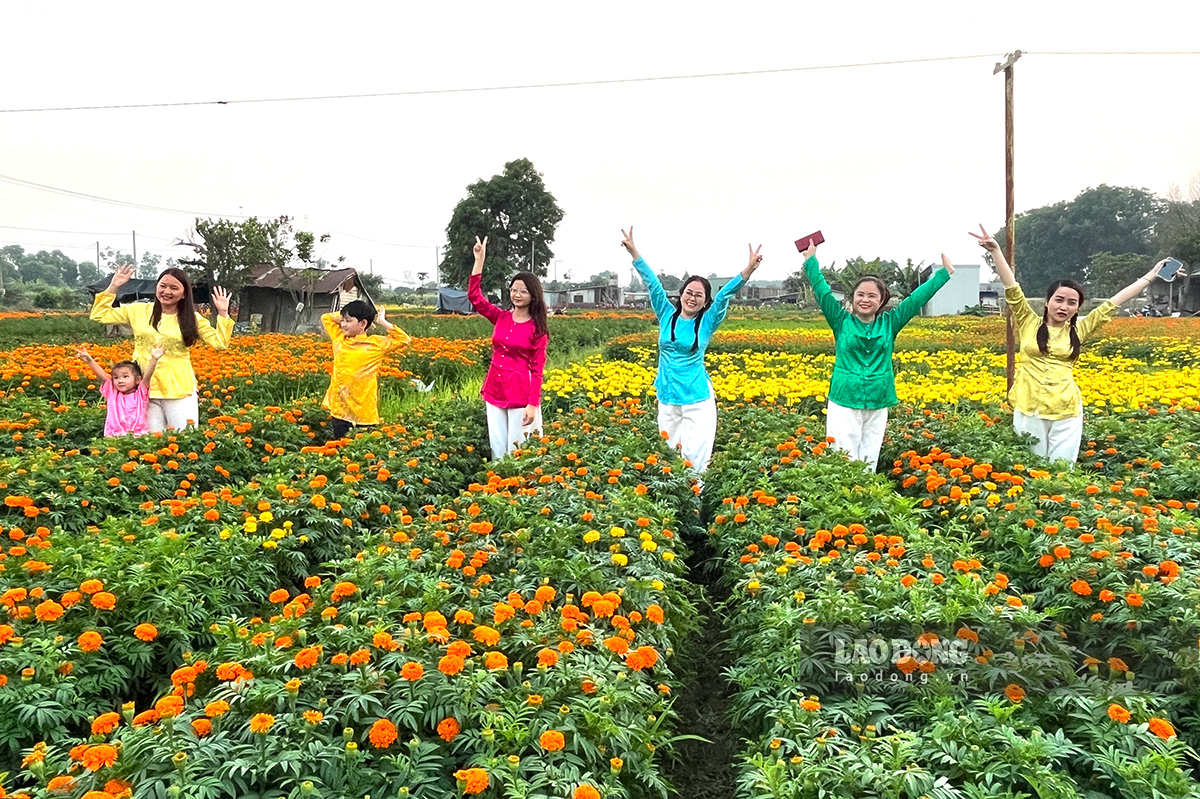  Du Lịch Miền Tây Dịp Tết