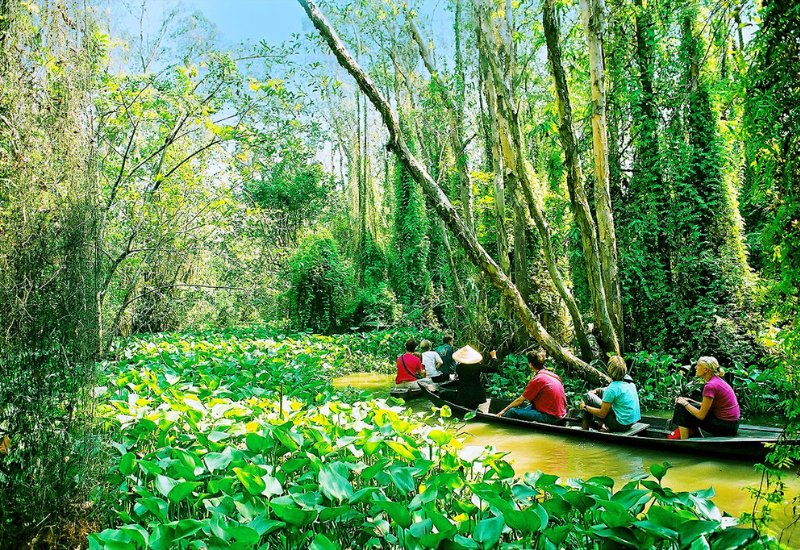 Xẻo Quýt Đồng Tháp 