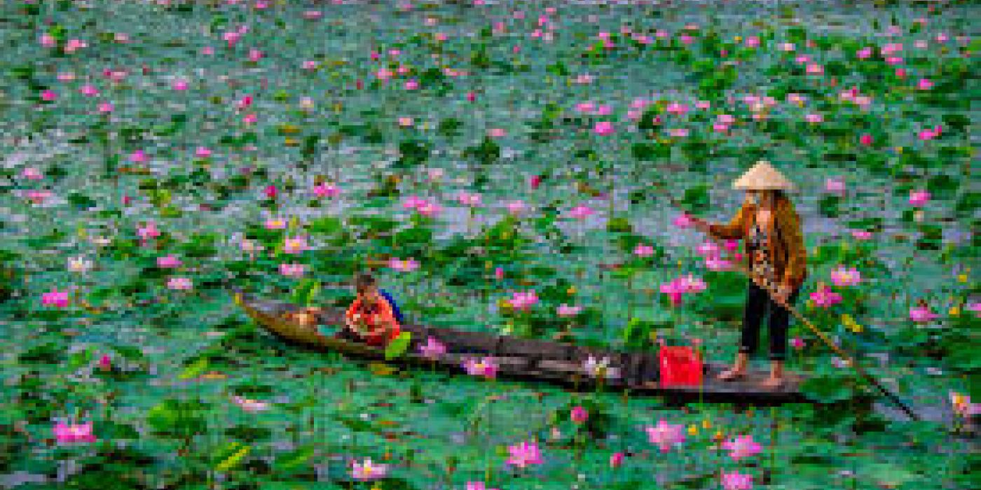 Thuê Xe Đi Đồng Tháp – Du Lịch Làng Hoa Sa Đéc & Tràm Chim