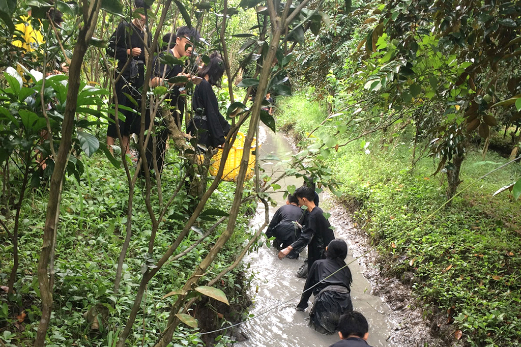 Khu du lịch vườn trái cây 9 Hồng Khu du lịch vườn trái cây 9 Hồng